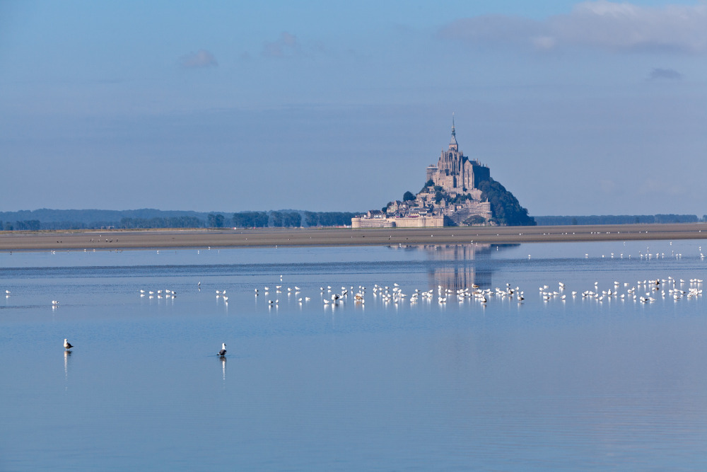 La rencontre de l'art et de la Nature